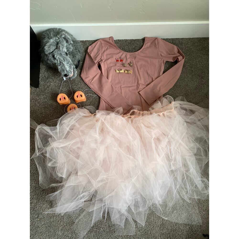 3 Little Pigs and the Big Bad Wolf Family Costumes - Picture 1 of 13
